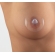 Ψευδοθηλές Contact Nipple Shields (Size Small) Medela