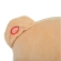 Κουνιστό Αρκουδάκι Λούτρινο Pink WJ-635 Cangaroo 3800146242206